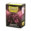 Load image into Gallery viewer, Dragon Shield Card Protectors Standard Dual Matte (100)