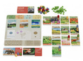 Load image into Gallery viewer, Earth Animal Kingdom