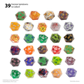 Load image into Gallery viewer, Sirius Dice Magic the Gathering Teenage Mutant Ninja Turtles Treasure Pack