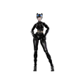 Load image into Gallery viewer, DC Champion Class 06 Catwoman (Hush)