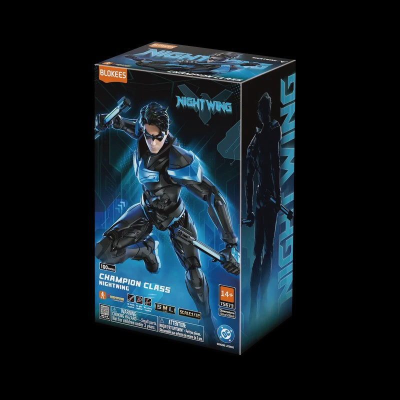 DC Champion Class 03 Nightwing
