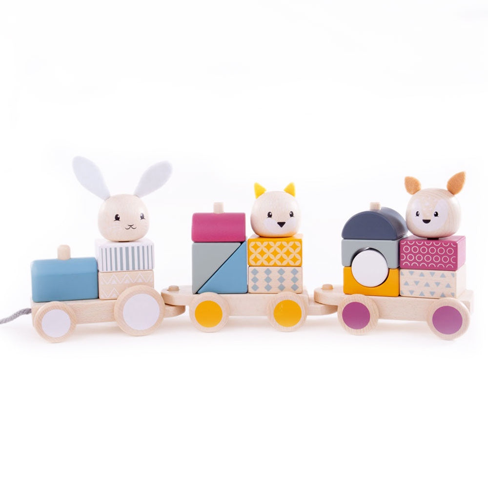 BigJig Toys Wooden Pull Along Train Activity Set