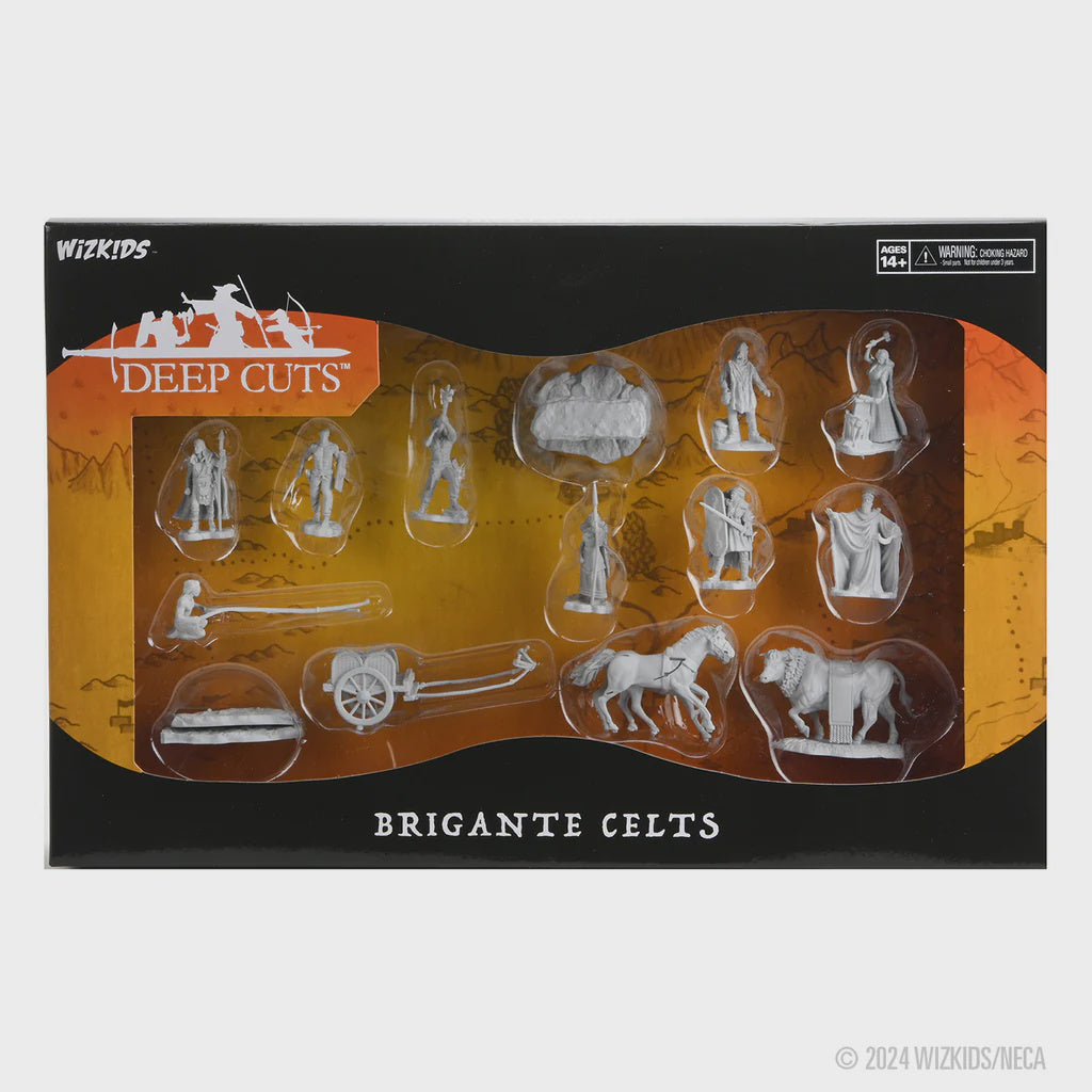 Pathfinder Battles Deep Cuts NPC Miniatures w17 Brigante Celts
