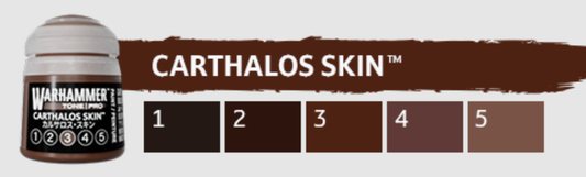 Warhammer Paint Tone Pro Carthalos Skin