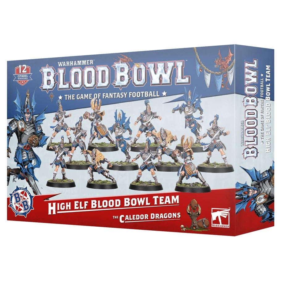 Blood Bowl Team High Elf The Caledor dragons