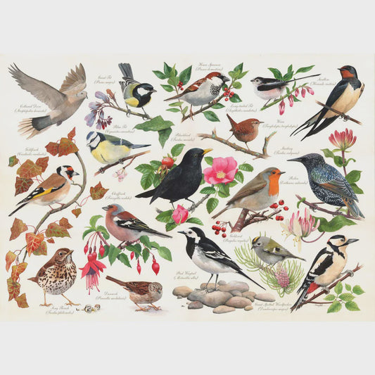Puzzle 1000 Birds In My Garden