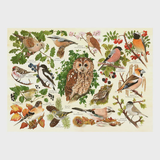 Puzzle 500 Woodland Birds (BIG)