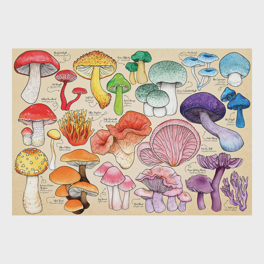 Puzzle 1000 Mushroom Mania
