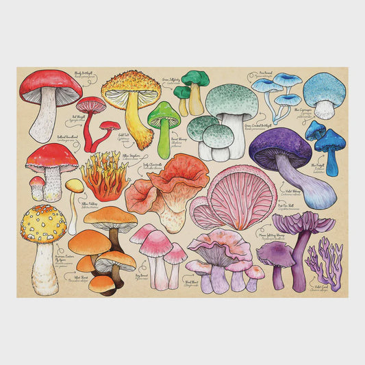 Puzzle 1000 Mushroom Mania
