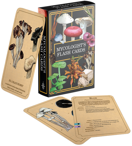 Mycologist's Primer Flash Cards