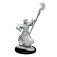 Load image into Gallery viewer, Pathfinder Battles Deep Cuts Miniatures w11 Human Sorcerer Male
