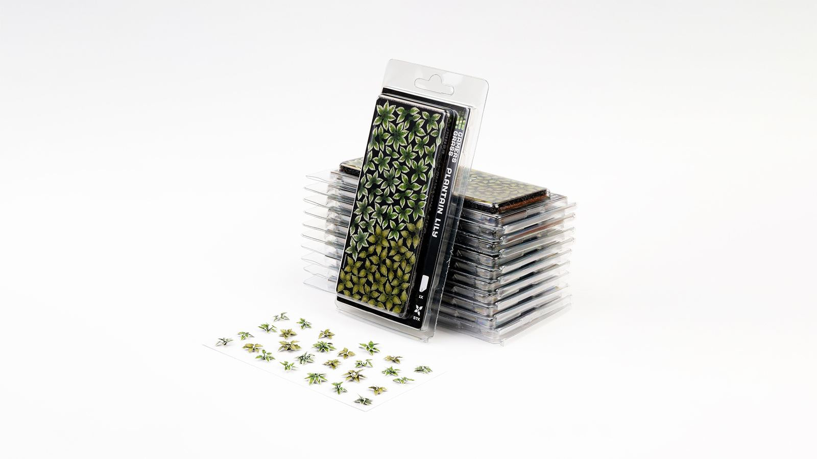 Gamers Grass Laser Plants Plantain Lily