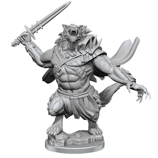 Dungeons & Dragons Magic the Gathering Miniatures w04 Arlinn Kord & Tovolar