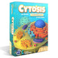 Cytosis A Cell Building Game